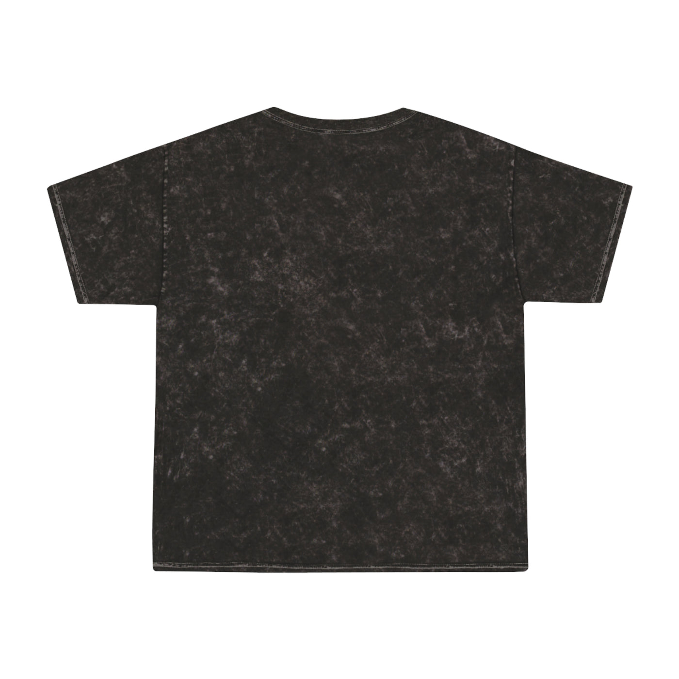 Unisex Mineral Wash T-Shirt | Lieutenant Aaron Blankenchip